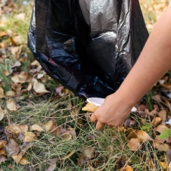 Fall_Spring Clean-Up by paz