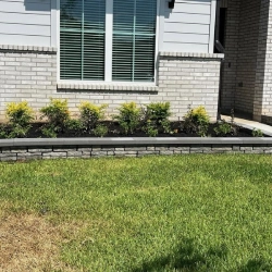 Lawn Maintenance by paz