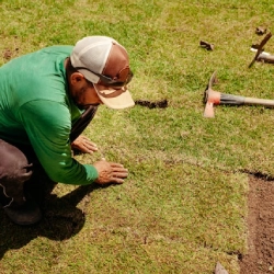 Sod Installation by Paz